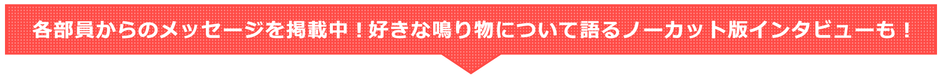 各部員からのメッセージを掲載中！ここでしか聴けないノーカット版インタビューも！