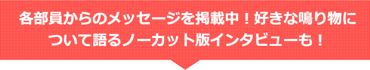 各部員からのメッセージを掲載中！ここでしか聴けないノーカット版インタビューも！